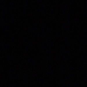 Meet your Posher, Frankie